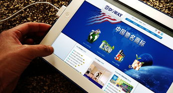 匯點品牌 專業驅動，塑造涂料行業的品牌新高度